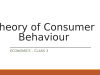 03 - theory of consumer behavior.pdf